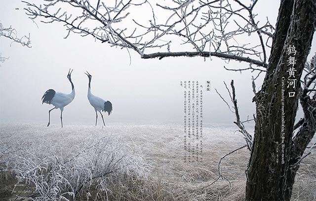 银河集团官网内容图片展示