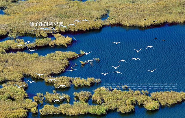 银河集团官网内容图片展示