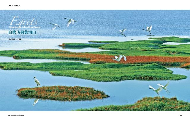 银河集团官网内容图片展示