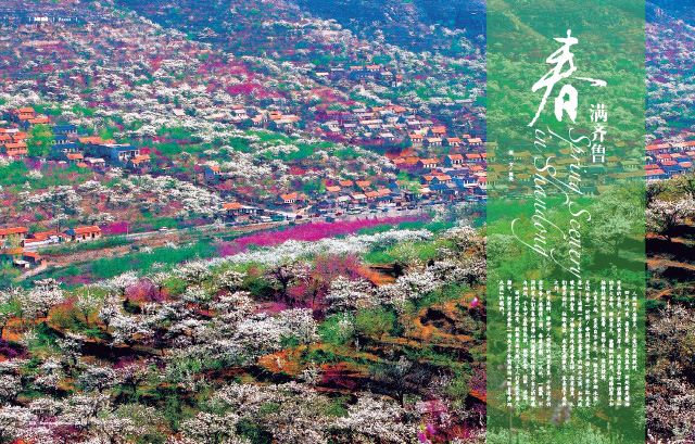 银河集团官网内容图片展示