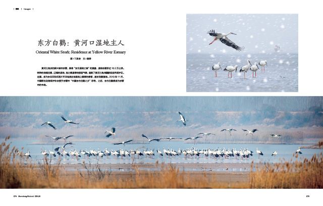 银河集团官网内容图片展示