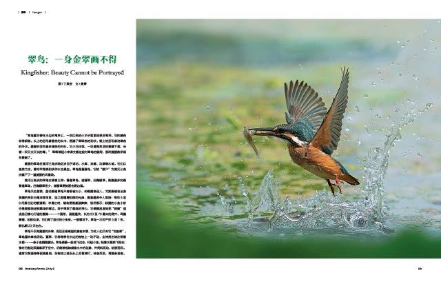 银河集团官网内容图片展示