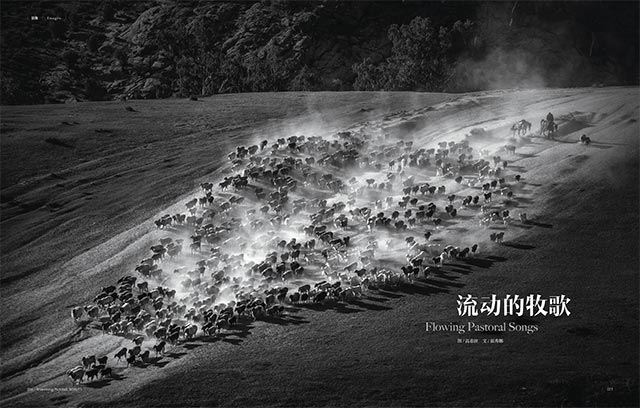 银河集团官网内容图片展示