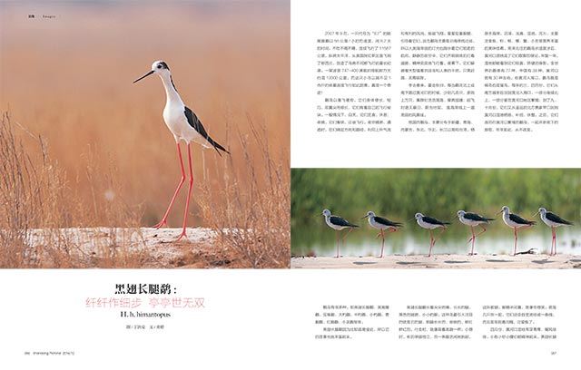 银河集团官网内容图片展示