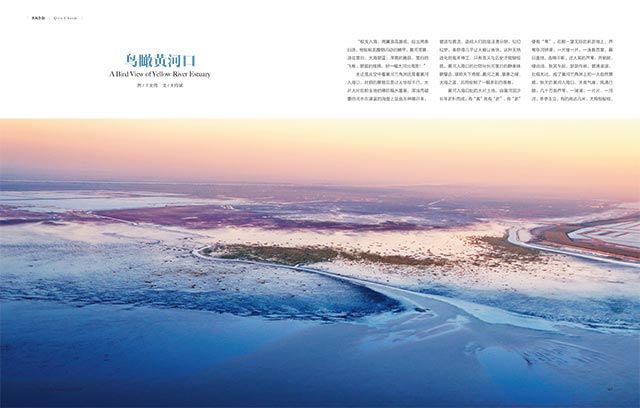 银河集团官网内容图片展示