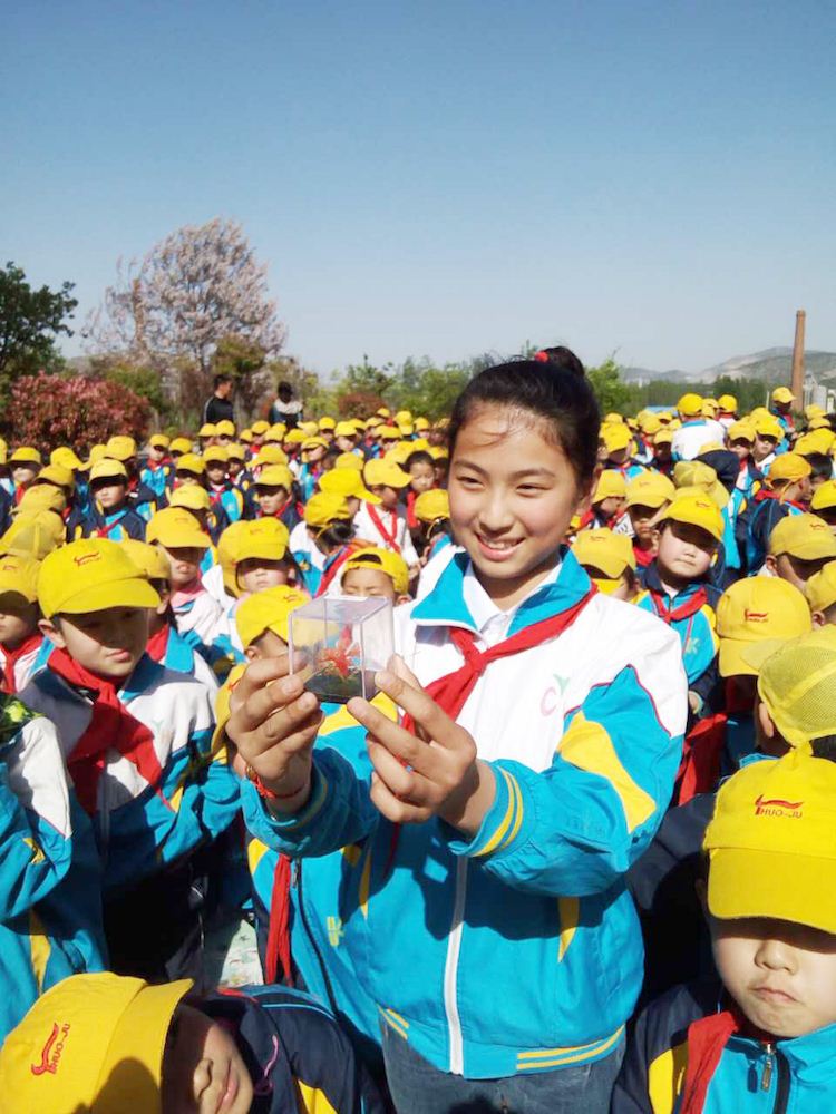 银河集团官网内容图片展示