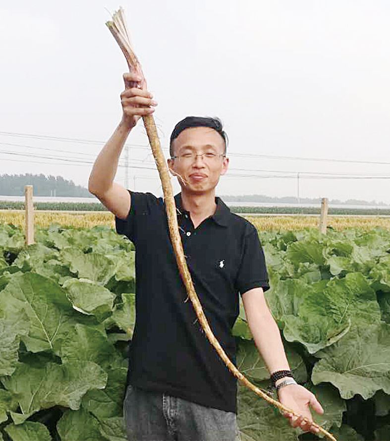 银河集团官网内容图片展示