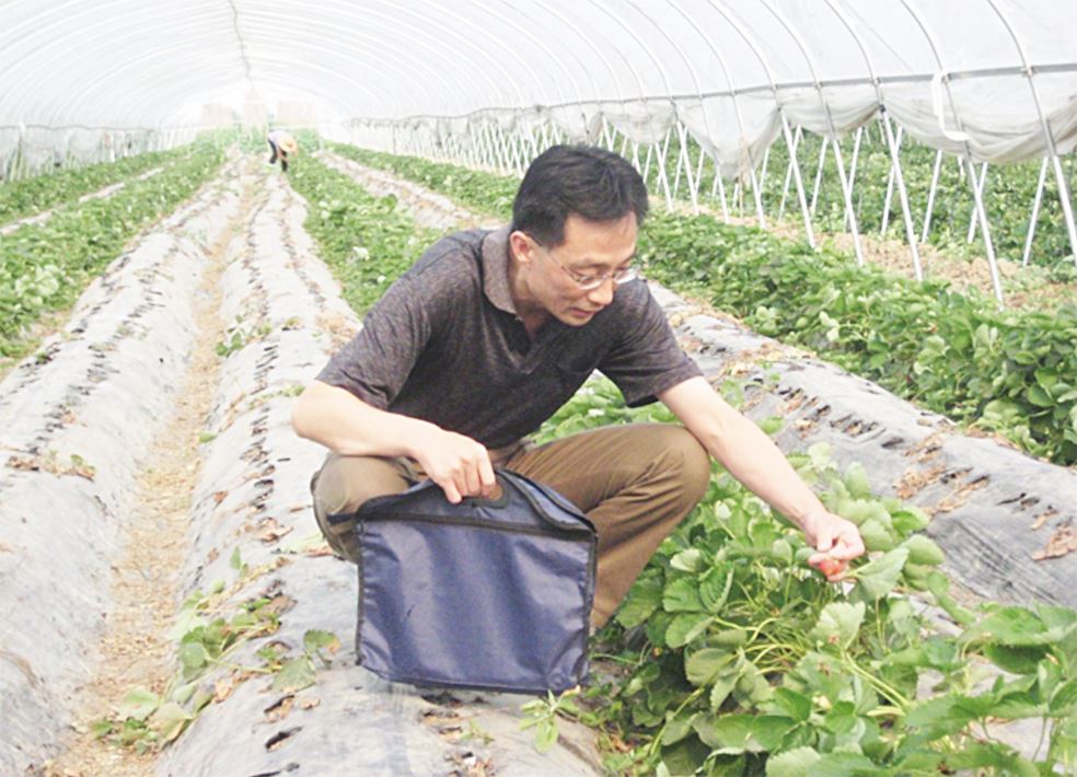 银河集团官网内容图片展示