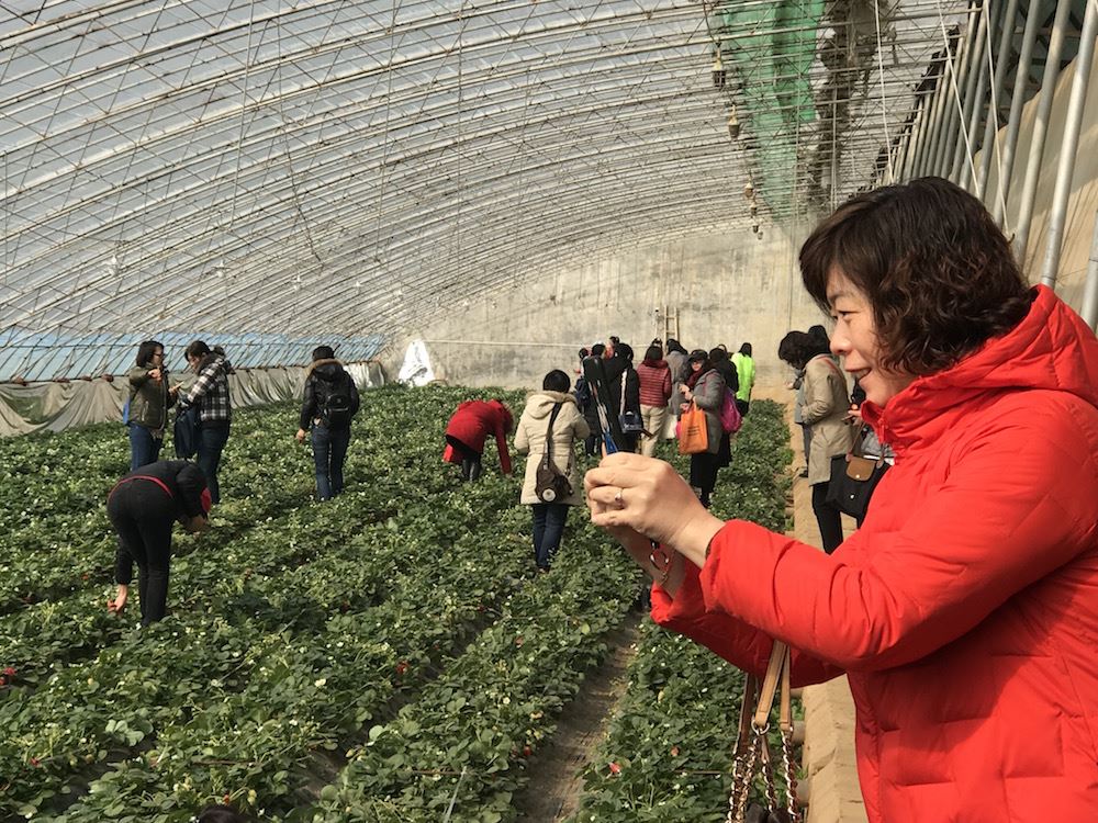 银河集团官网内容图片展示