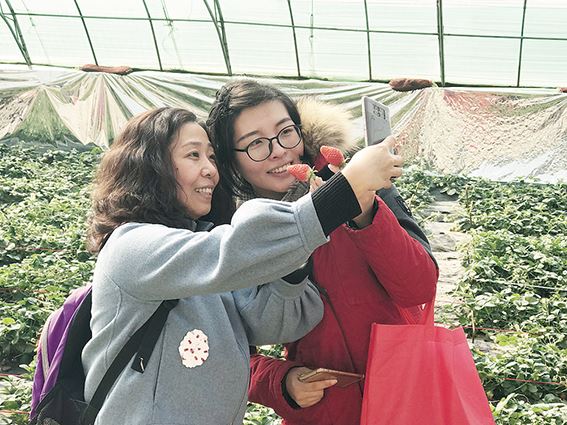 银河集团官网内容图片展示