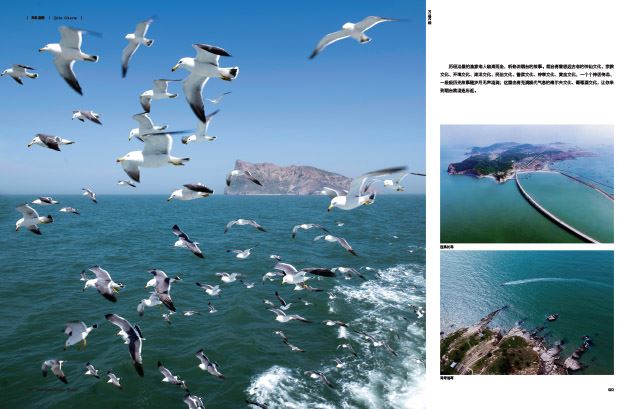 银河集团官网内容图片展示