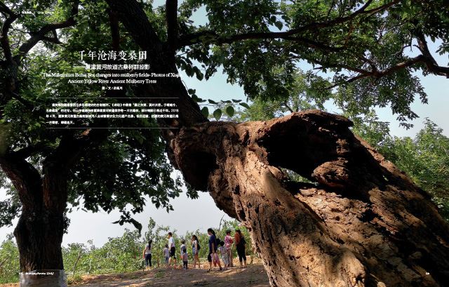 银河集团官网内容图片展示