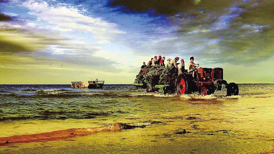 银河集团官网内容图片展示