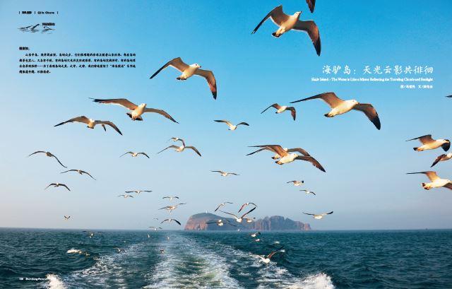 银河集团官网内容图片展示