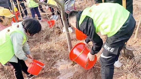 银河集团官网内容图片展示